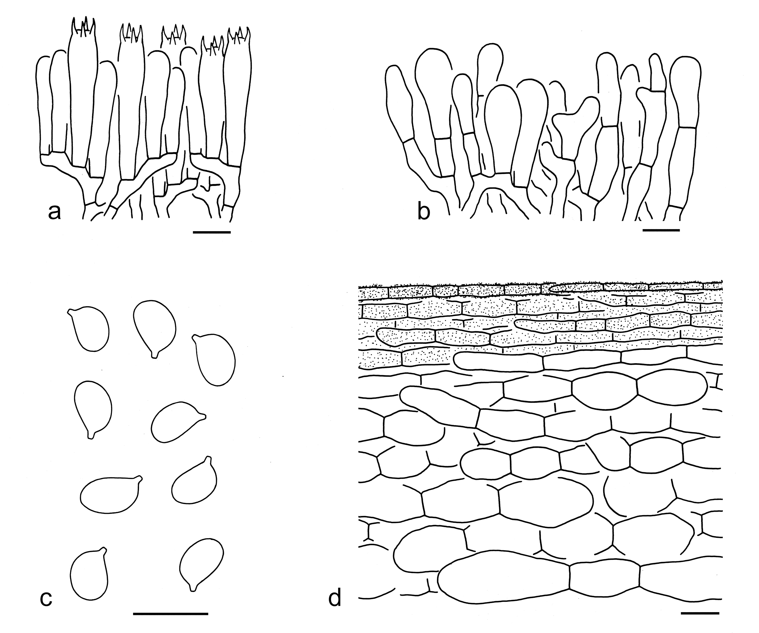 Figure 66